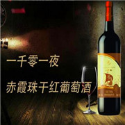 一千零一夜葡萄酒加盟