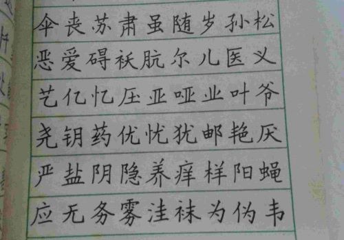 字立方教育加盟