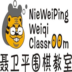 聶衛(wèi)平圍棋教室加盟