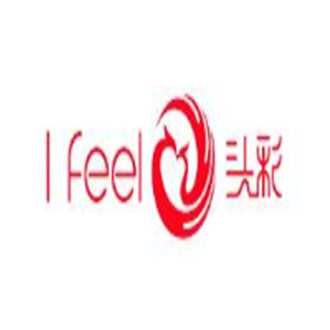 I Feel 頭彩發(fā)飾