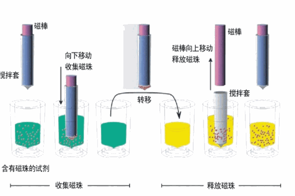 富華生物科技加盟