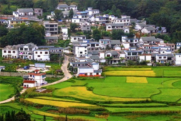 山水田園