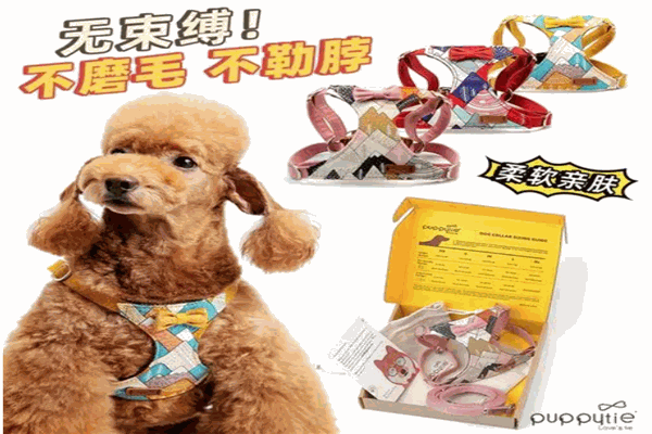 Puppy Pleasure寵物玩具加盟