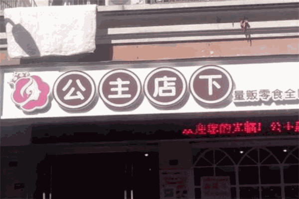 公主店下零食加盟