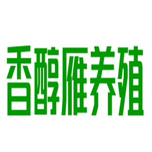 香醇雁養(yǎng)殖