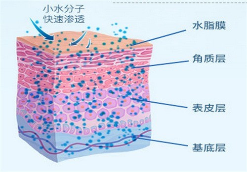 黛蓮娜化妝品加盟