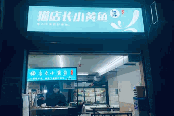 貓店長(zhǎng)小黃魚加盟