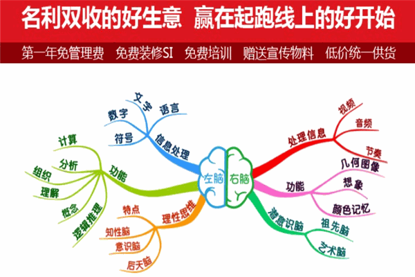 卓領(lǐng)天下全腦開發(fā)加盟