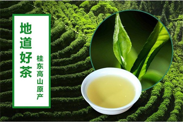 桂東玲瓏茶加盟