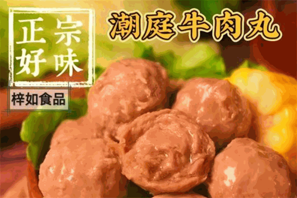 潮庭牛肉丸加盟