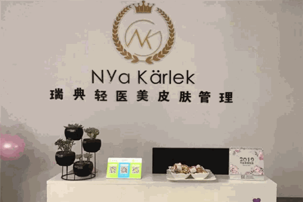 NK瑞典輕醫(yī)美皮膚管理加盟