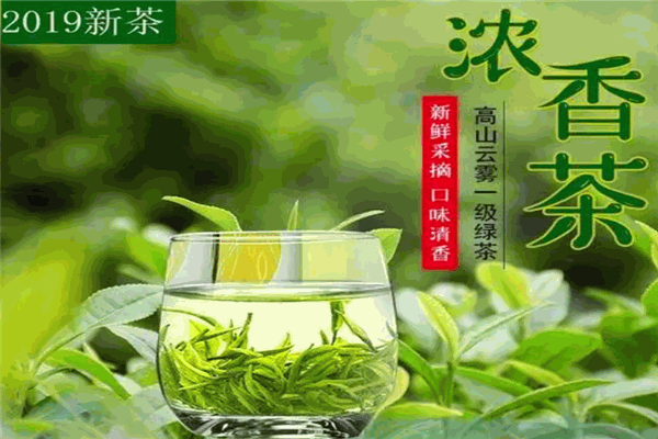 綠楊春茶葉加盟