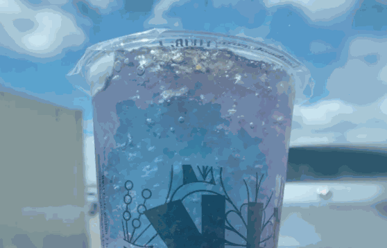 vivi bubble tea