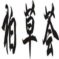 柏草薈生發(fā)養(yǎng)發(fā)館加盟