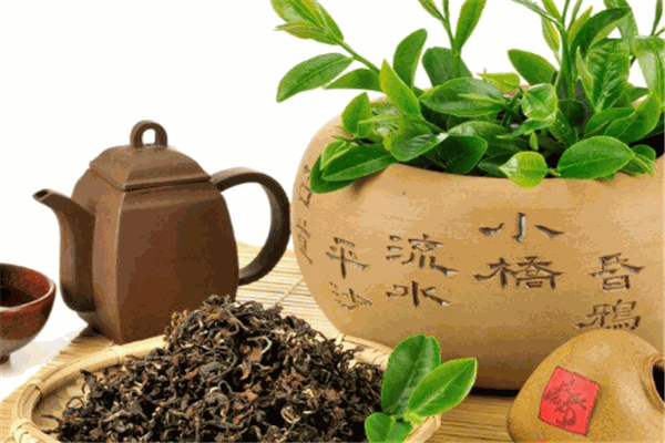 陸羽會(huì)茶葉加盟