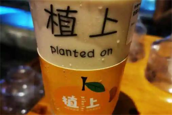 植上奶茶