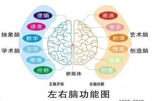 好立德全腦開發(fā)加盟