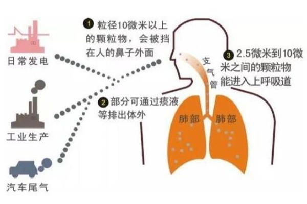 布雷森新風(fēng)加盟