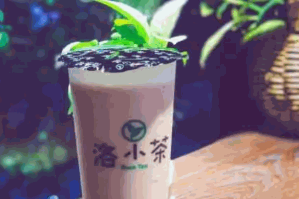 洛小茶