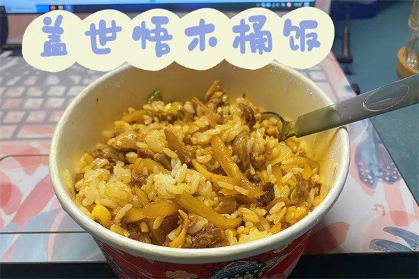 蓋世悟大碗飯加盟