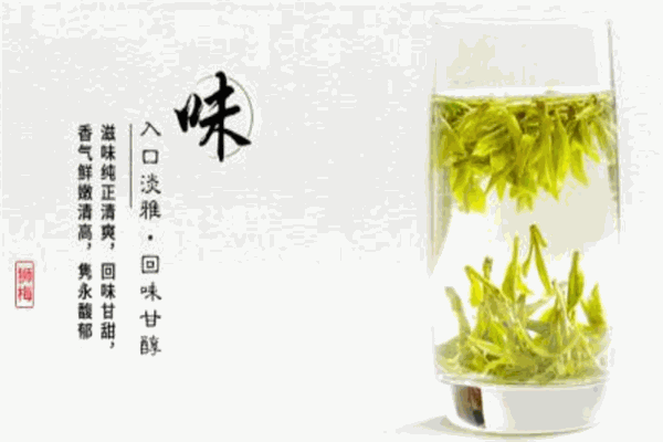 獅牌西湖龍井茶