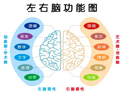 楊氏速讀速記加盟