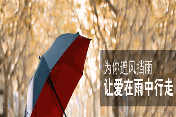 雨康傘加盟