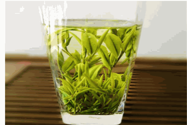 高山茶葉