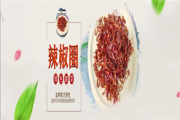 長(zhǎng)虹食品加盟