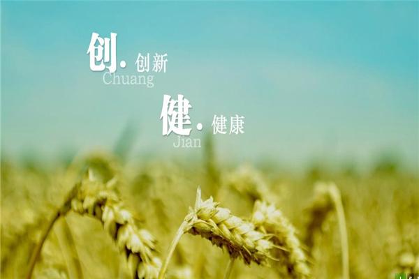 創(chuàng)健食品加盟