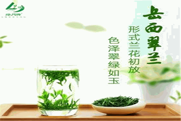 綠月茶業(yè)加盟