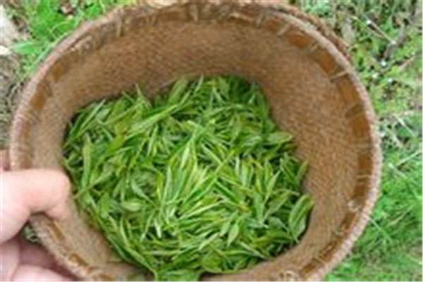 有茗堂茶業(yè)加盟