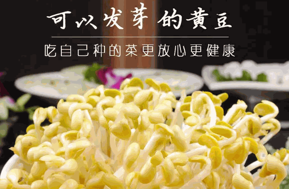 怎么金豆子豆芽?