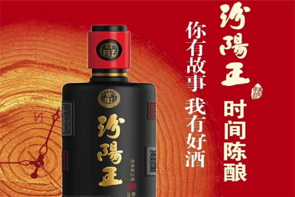 汾陽王酒業(yè)加盟