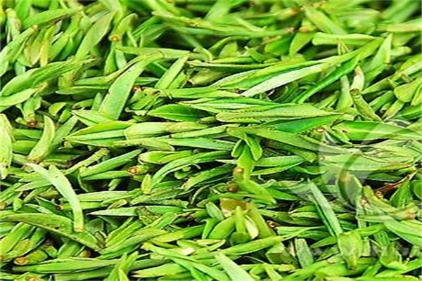 三湘茶業(yè)加盟