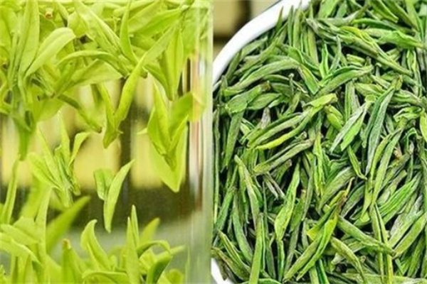 浙茶集團(tuán)茶葉加盟