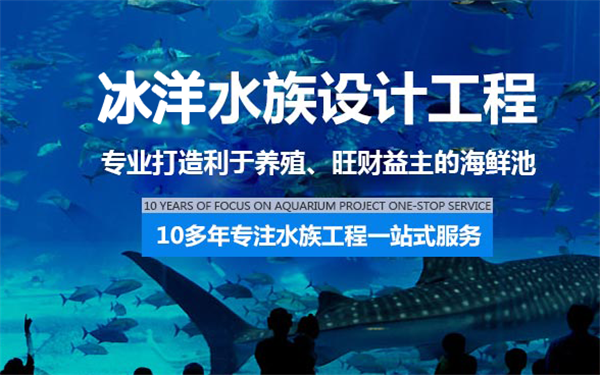 冰洋水族加盟