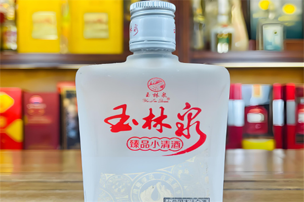 玉林泉酒加盟