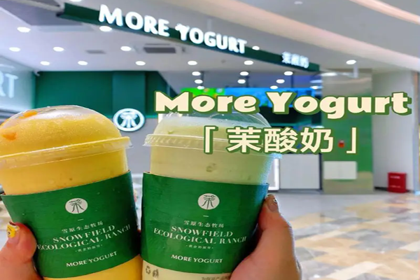 More yogurt加盟