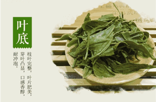 峰之茗茶業(yè)加盟