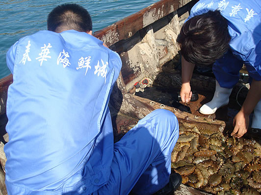 春華海鮮自助加盟