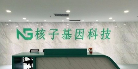 核子基因