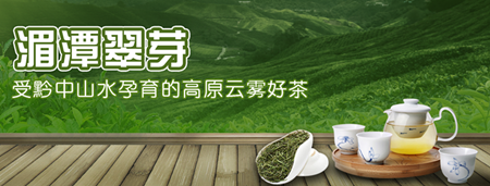 貴州茶資源