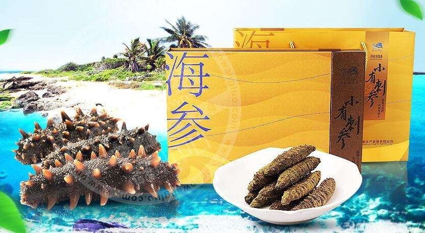 月亮灣海參加盟